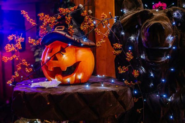 Pakiet Halloween Hotel Białowieski Pakiet Halloween Hotel Białowieski